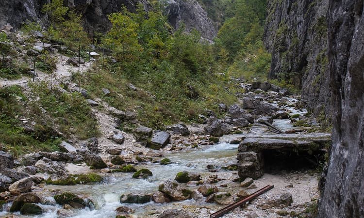 Eight people rescued from gorge after bridge collapses in Bavaria