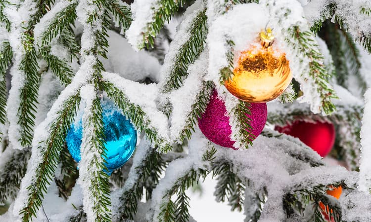 White Christmas in Germany: Does it usually snow, rain or shine?