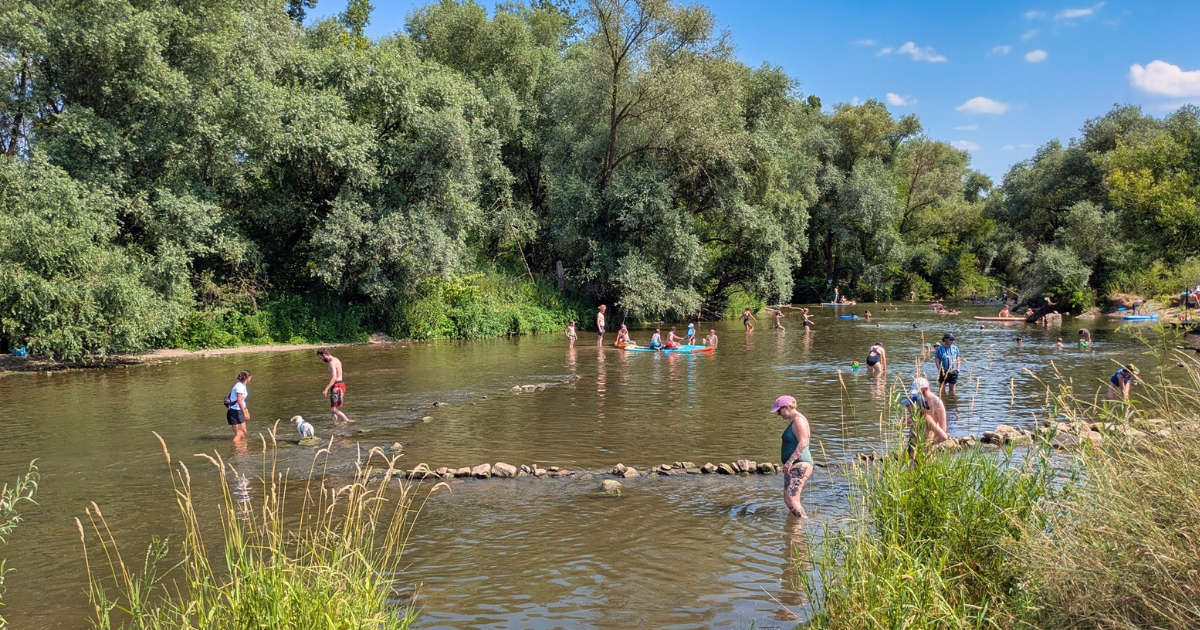 German government calls for national heatwave action plan