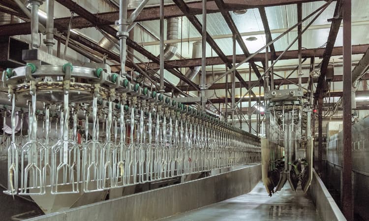 7000 in quarantine after new coronavirus outbreak at abattoir in NRW