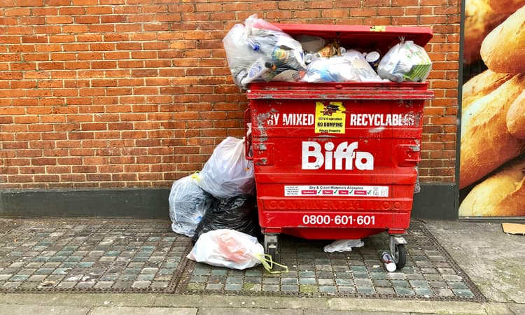 Germany rejects proposal to legalise dumpster diving