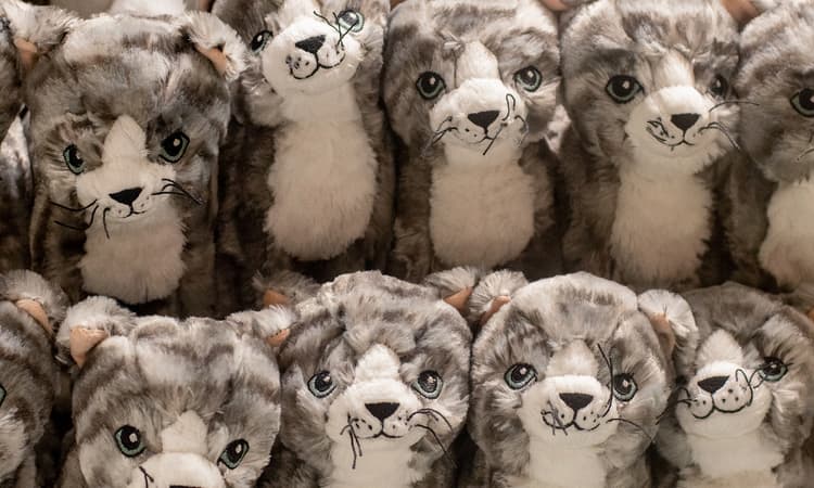 Brandenburg hospitals are using robot cats to help patients