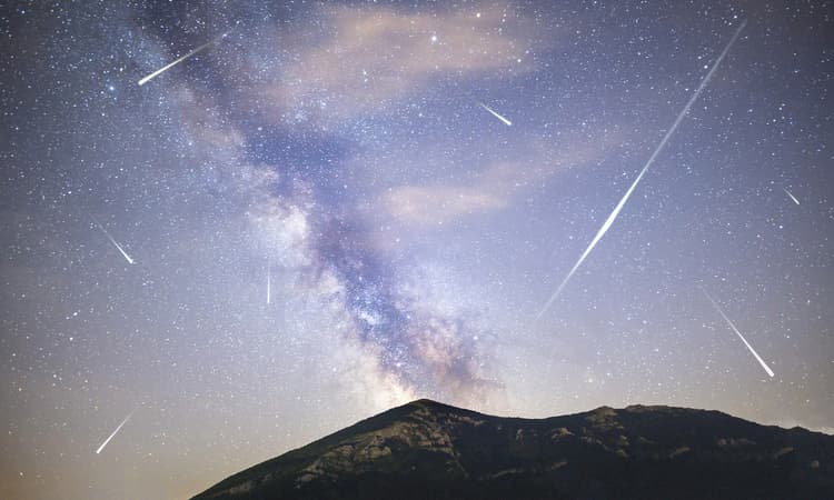 Look to the skies as the Delta Aquariids meteor shower peaks this week