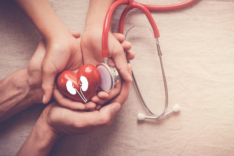 Up to 6 million Germans may be suffering from kidney failure