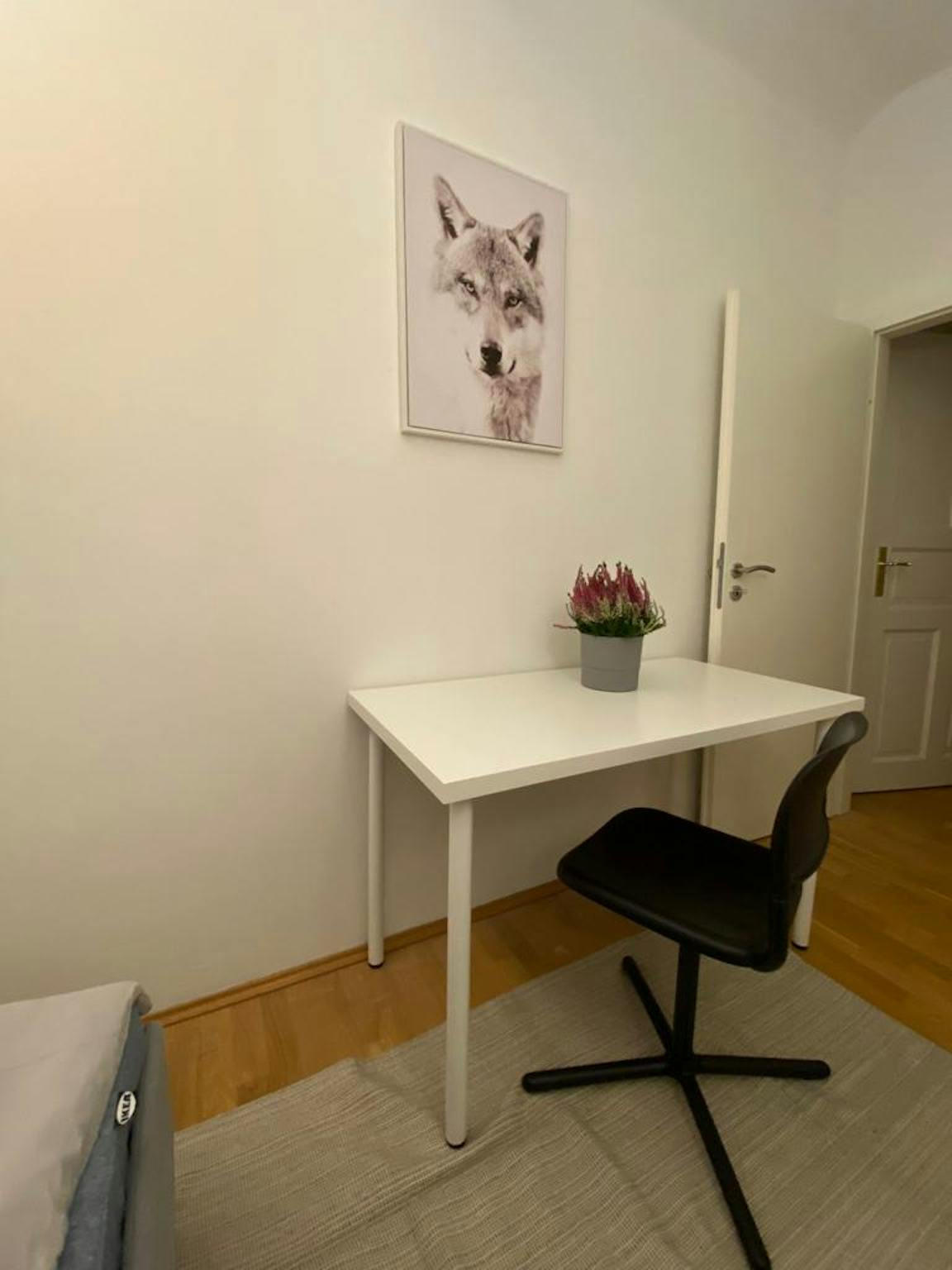 Apartment, Paracelsusstraße, Munich
