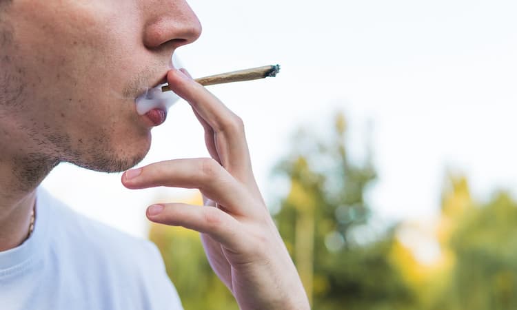 Germans divided over coalition's plans to legalise cannabis