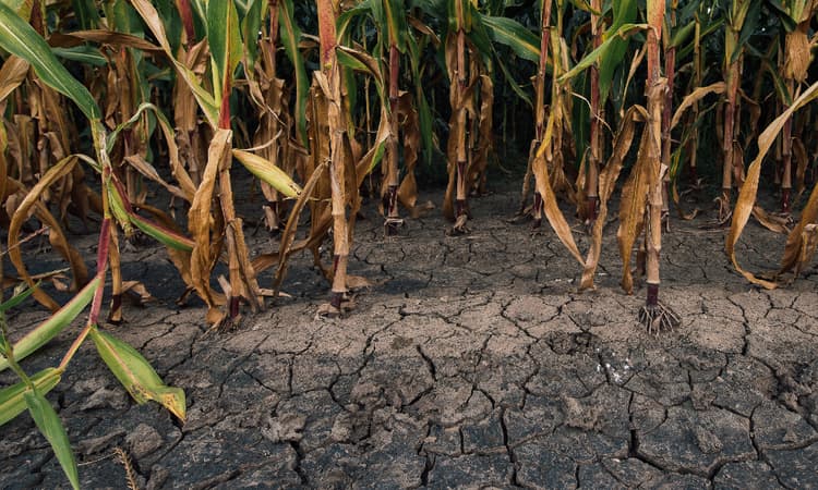 Germany facing a drinking water shortage, federal office warns