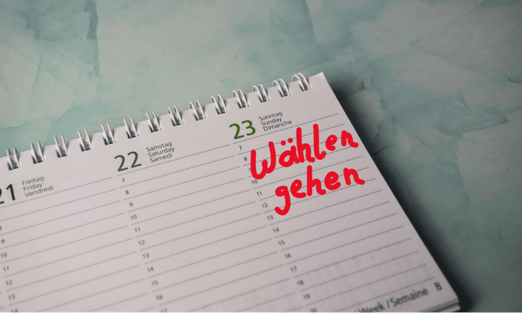 More new citizens than ever to vote in German federal election