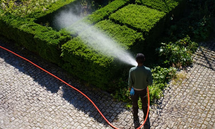 Berlin local government prepares water rationing plans