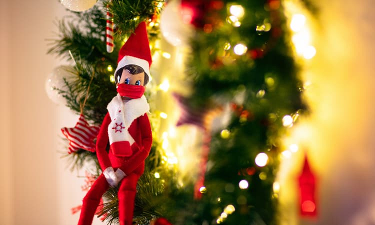 42 percent of people in Germany might break rules over Christmas