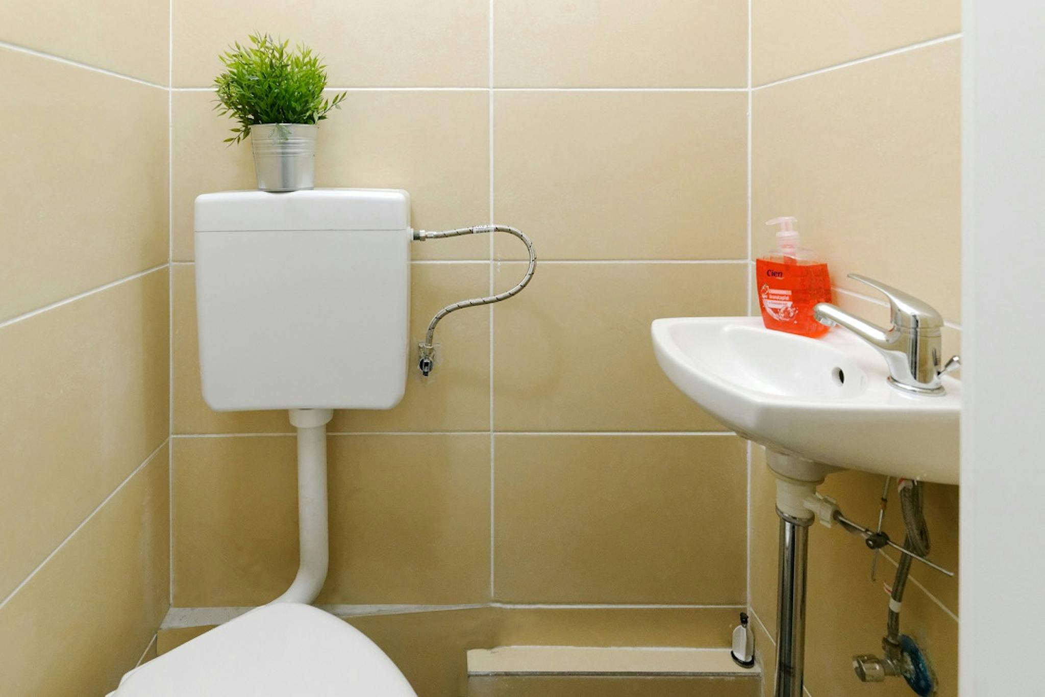 Apartment, Emdenzeile, Berlin