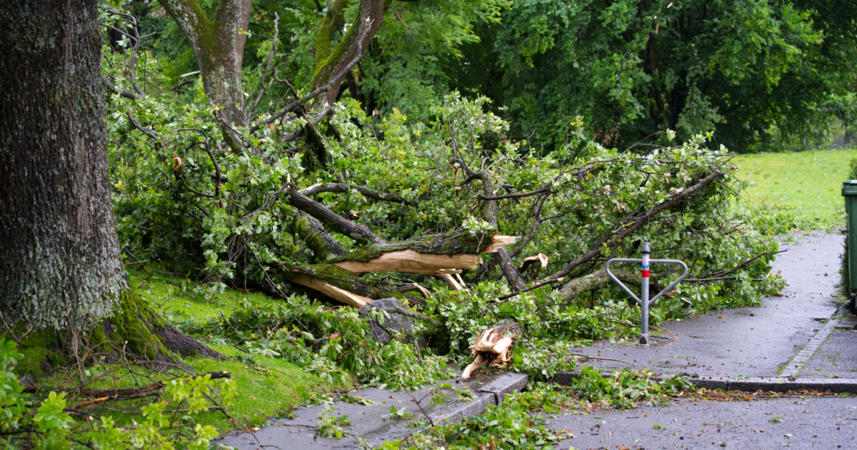 140 km/h winds to hit parts of Switzerland