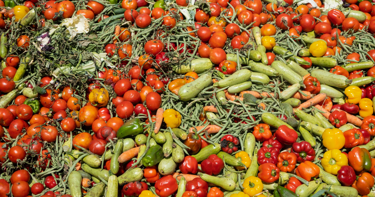 Food Waste Saving Apps