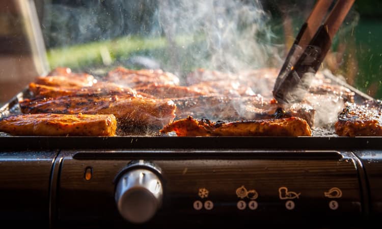 German man successfully sues neighbour for barbecuing too much