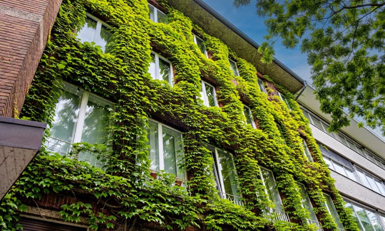 5 steps to owning your own property in Germany