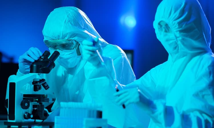 German researchers create a degradable plastic from food industry waste
