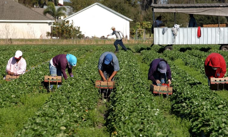 The best places for migrant employment in Germany