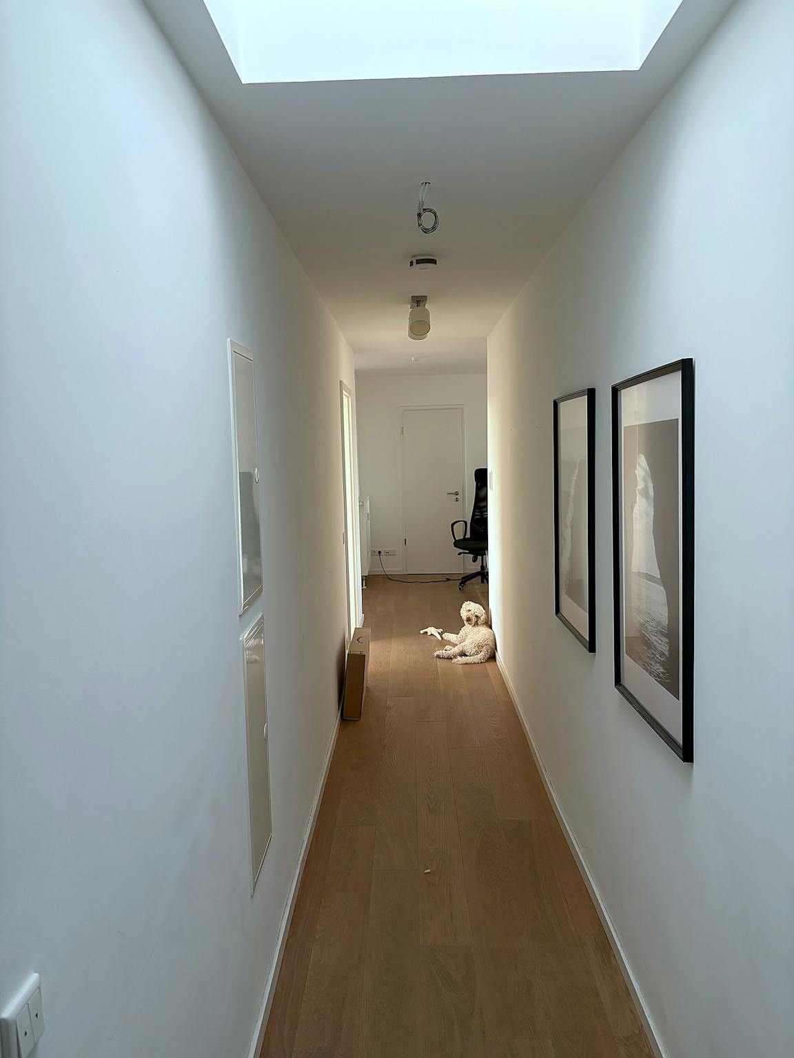 Apartment, Sonnemannstraße, Frankfurt