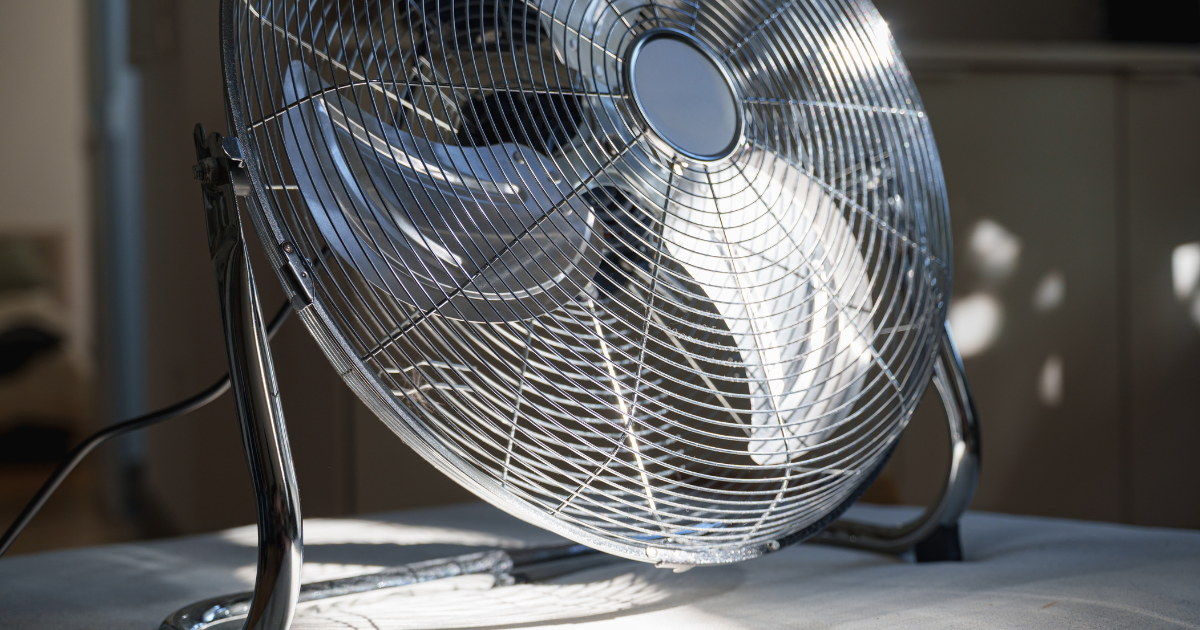 Germany likely to see 40C-heatwave in early August