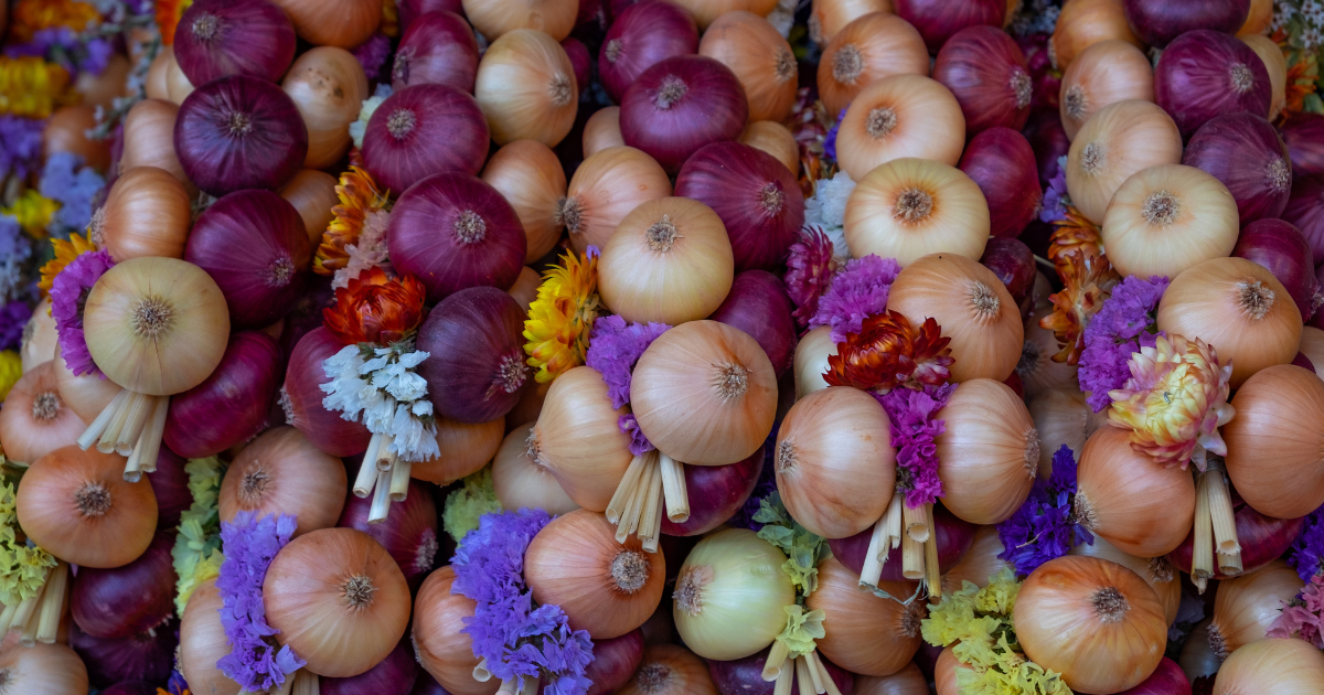 Weimar Onion Market Germany