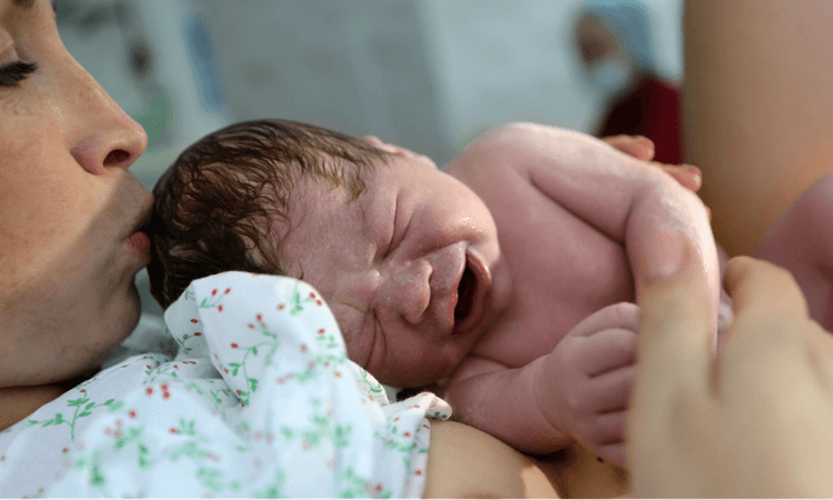 Number of births in Germany is drastically decreasing, says ifo Institute