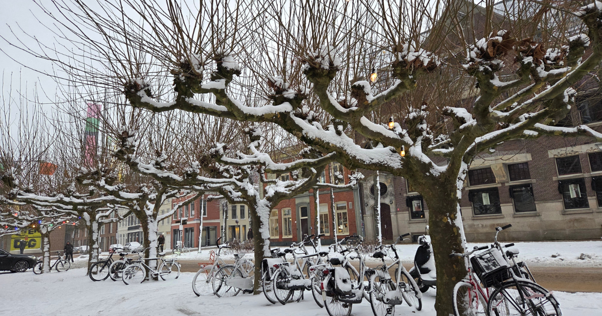 Parts of the Netherlands to see more snow this week