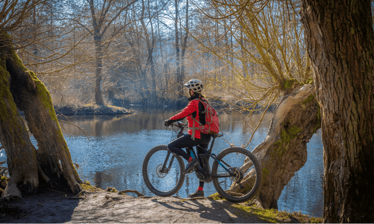 Germany sells more e-bikes than standard bikes for the first time