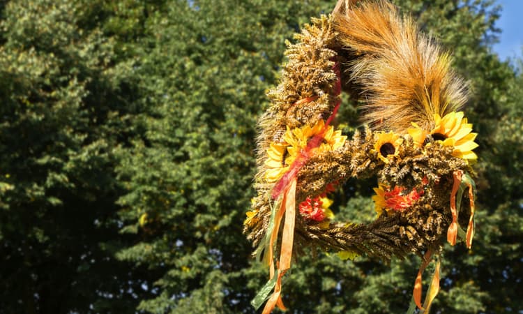 Erntedank and harvest festivals: The German Thanksgiving