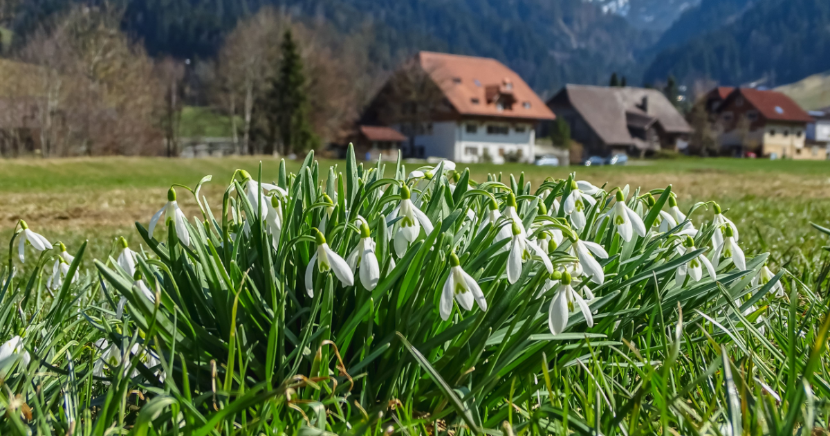 Is winter over? 23C expected in parts of Switzerland this week