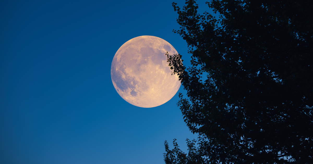 Full Moon Germany