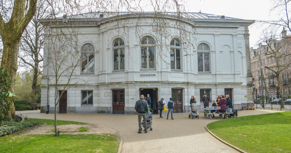 Iconic aquarium at Artis Zoo to reopen in June