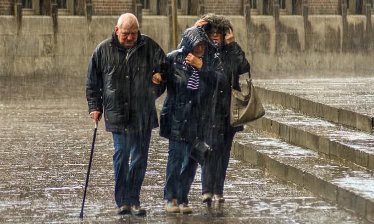 This summer was the wettest in Germany for 10 years
