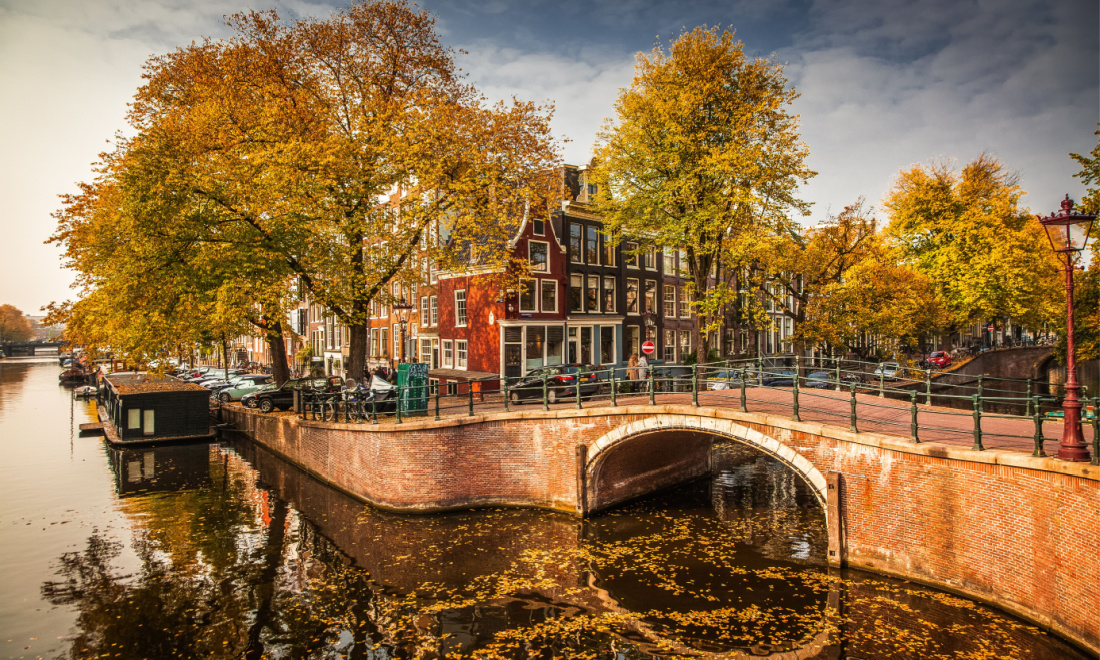 October 2023: 7 things expats in the Netherlands need to know