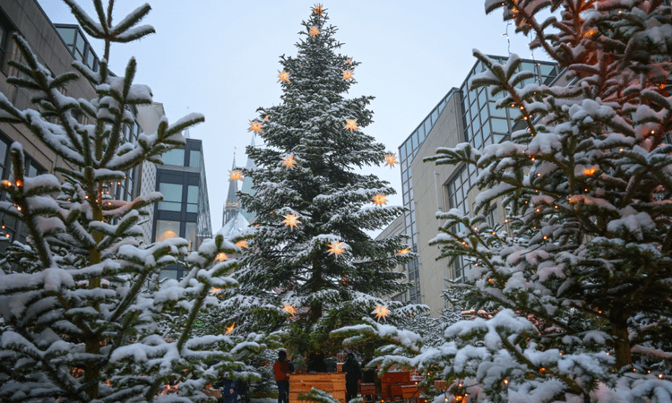 What are the chances of a white Christmas in Germany in 2024?