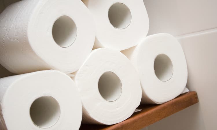 Germany rations toilet paper with "max 3 sheets per visit" law