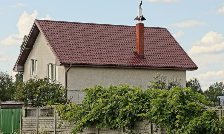 Germany’s high court rules that it's legal to trim your neighbour’s tree
