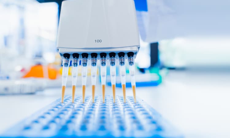 Germany puts 150 million euros into researching drugs to treat COVID