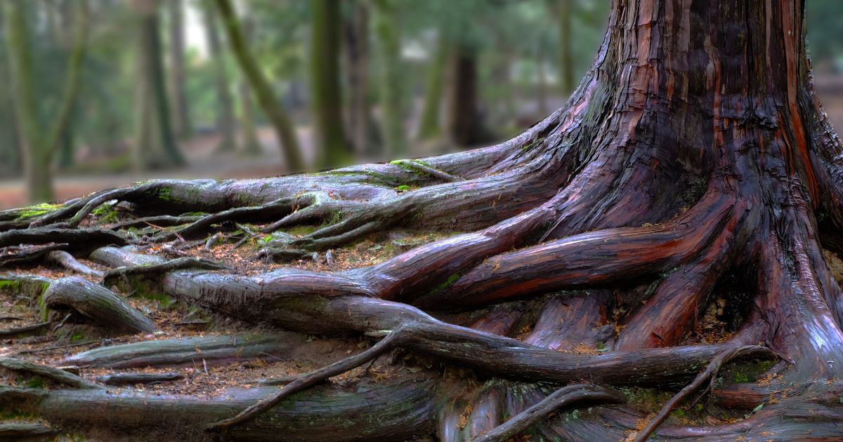 Is your business stuck? How to uncover the root cause