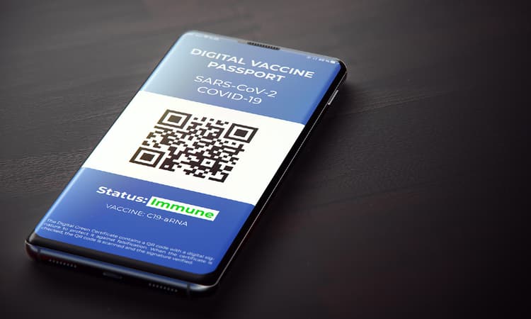 Germany begins rollout of digital vaccine certificate: What you need to know