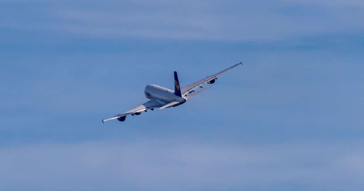 Does Germany’s aviation tax cut mean flights will be cheaper this summer?