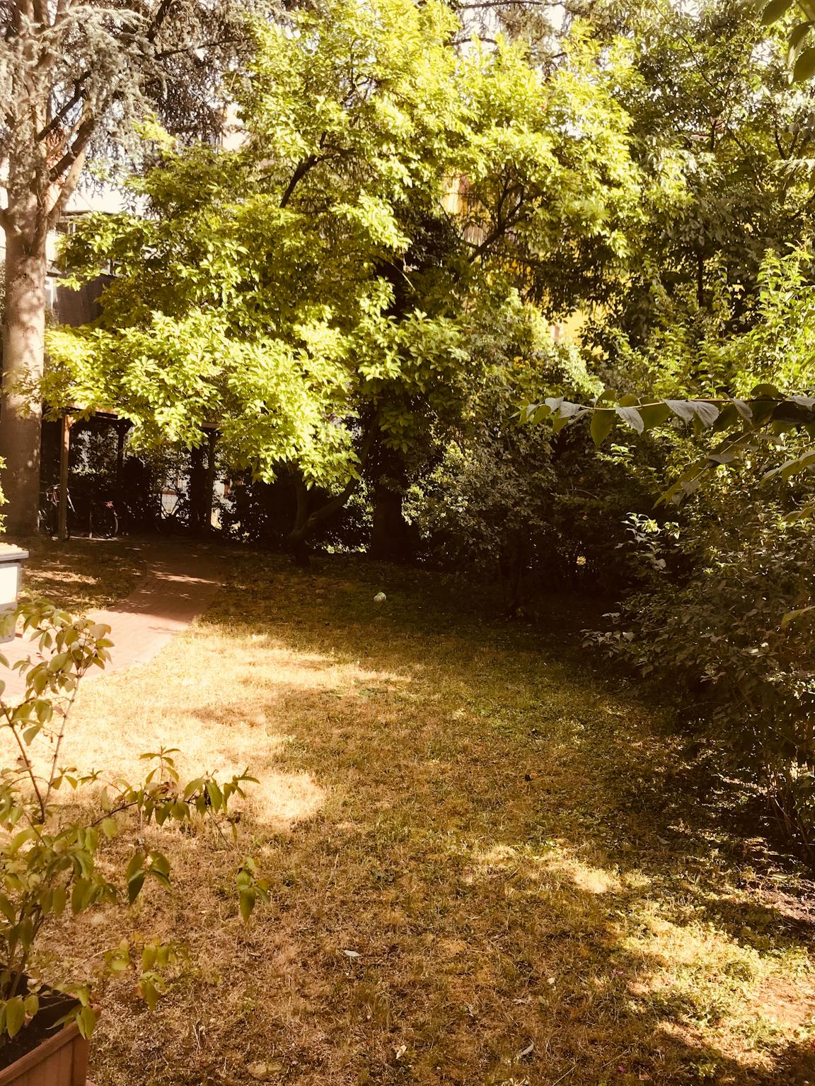 Apartment, Rat-Beil-Straße, Frankfurt