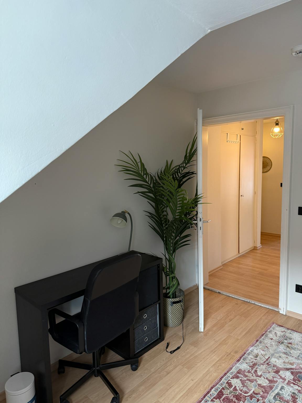 Apartment, Reisingerstraße, Munich