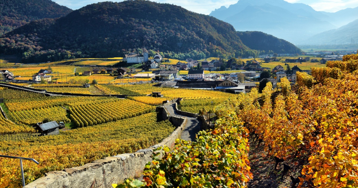 October 2025 in Switzerland: 6 important things expats need to know