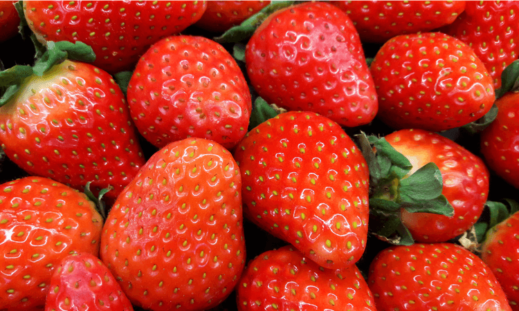Thieves steal entire field of strawberries in south Germany