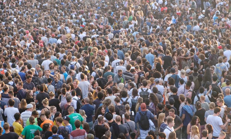 Majority of Germans think there is too much immigration 