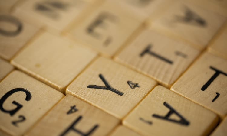 These are the German Words of the Year 2019