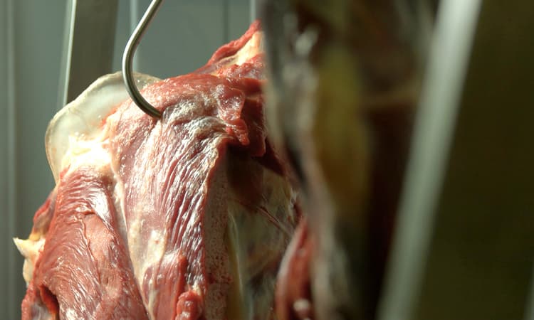 Germany cracks down on meat industry after coronavirus outbreaks