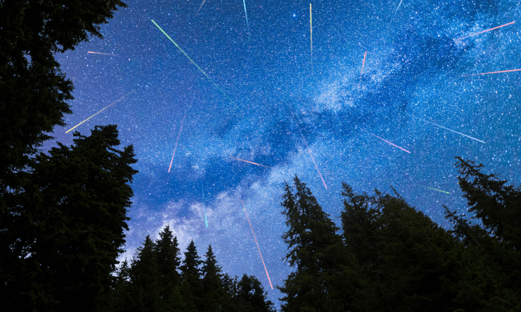 Nature’s fireworks: Geminids meteor shower to peak over Germany this week
