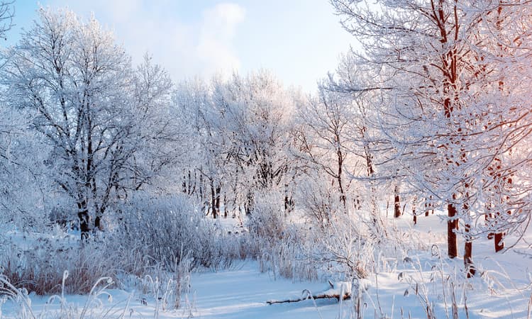 Fact check: Does it ever snow on Christmas in Germany?