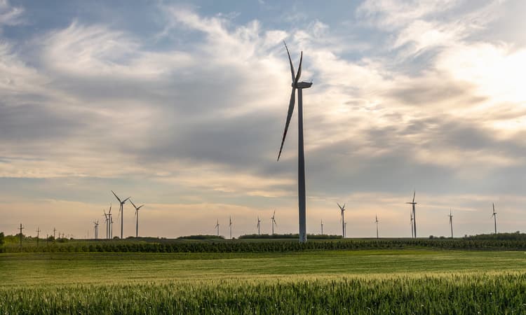 Germany's green energy surcharge to go down next year